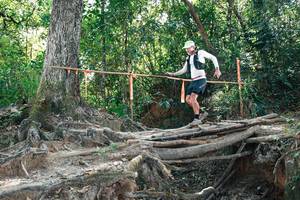 BIB: 
                            <button type="button" onclick="openModal(27745747)" class="btn btn-primary btn-sm float-right btn-popup" data-toggle="modal" data-target=".modal-high-quality">
                        <i class="fas fa-shopping-cart"></i> Add to Cart
                    </button>
                                            <button type="button" onclick="isThisMe(27745747, true)" class="btn btn-success btn-sm float-right btn-popup btn-isme hidden" data-toggle="tooltip" data-placement="bottom" title="นี่คือรูปของคุณใช่ไหม คลิกที่นี่เพื่อเอาเข้าอัลบั้ม">
                        <i class="fas fa-plus"></i> Add to album
                    </button>
                    <button type="button" onclick="isThisMe(27745747, false)" class="btn btn-warning btn-sm float-right btn-popup btn-isnotme hidden">
                        <i class="fas fa-ban"></i> Remove from album
                    </button>